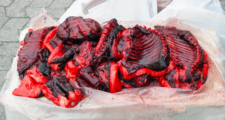 - Eg havi nú kannað møguleikarnar, men hetta vísir seg tíverri ikki at lata seg gera.