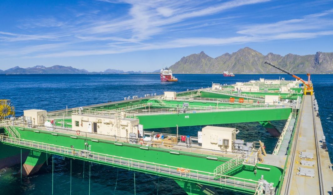 Alibrúkið "Jostein Albert" hjá Nordlaks, sum eisini eigur myndina.