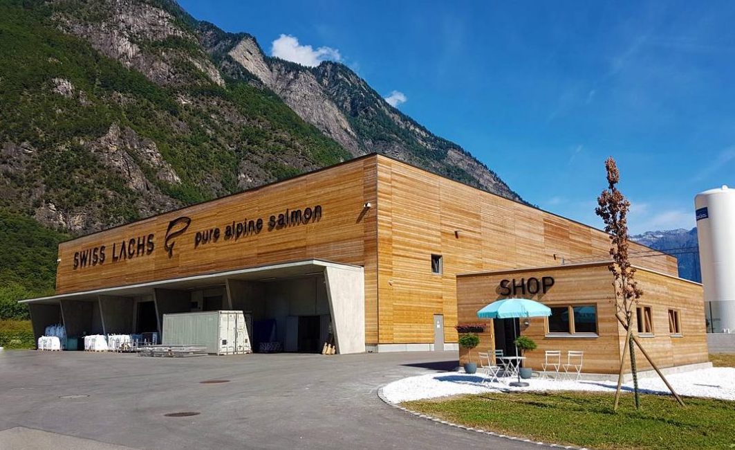 Swiss Lachs alir laks við ein fjallatind í Lostallo, beint við markið til Italia. Mynd: Swiss Lachs.