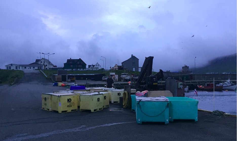 Her standa stívliga 20 kør av útróðrarfiski, sum útróðrarbátar á Sandi fingu í gjár.