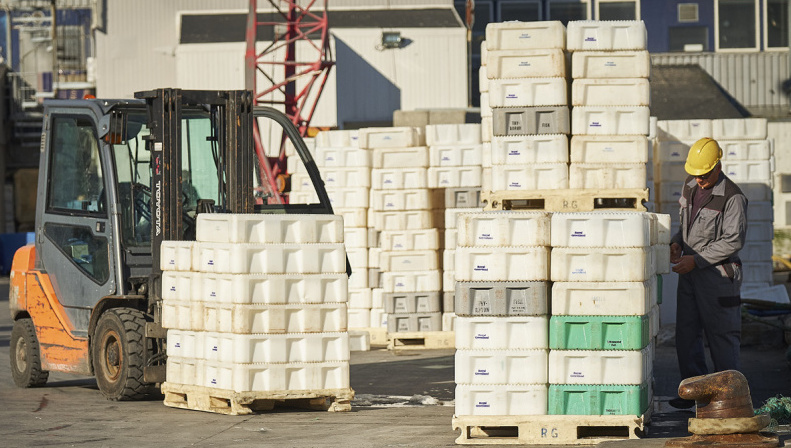 Myndina eigur Royal Greenland